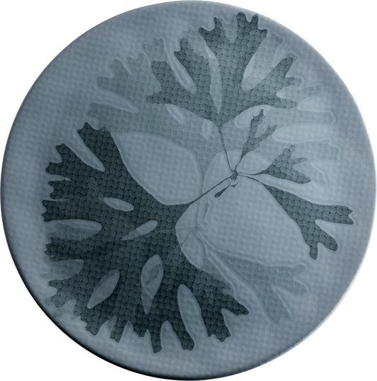 Fortessa CHEF'S PLATE Seaweed Teller 31cm für die Gastronomie