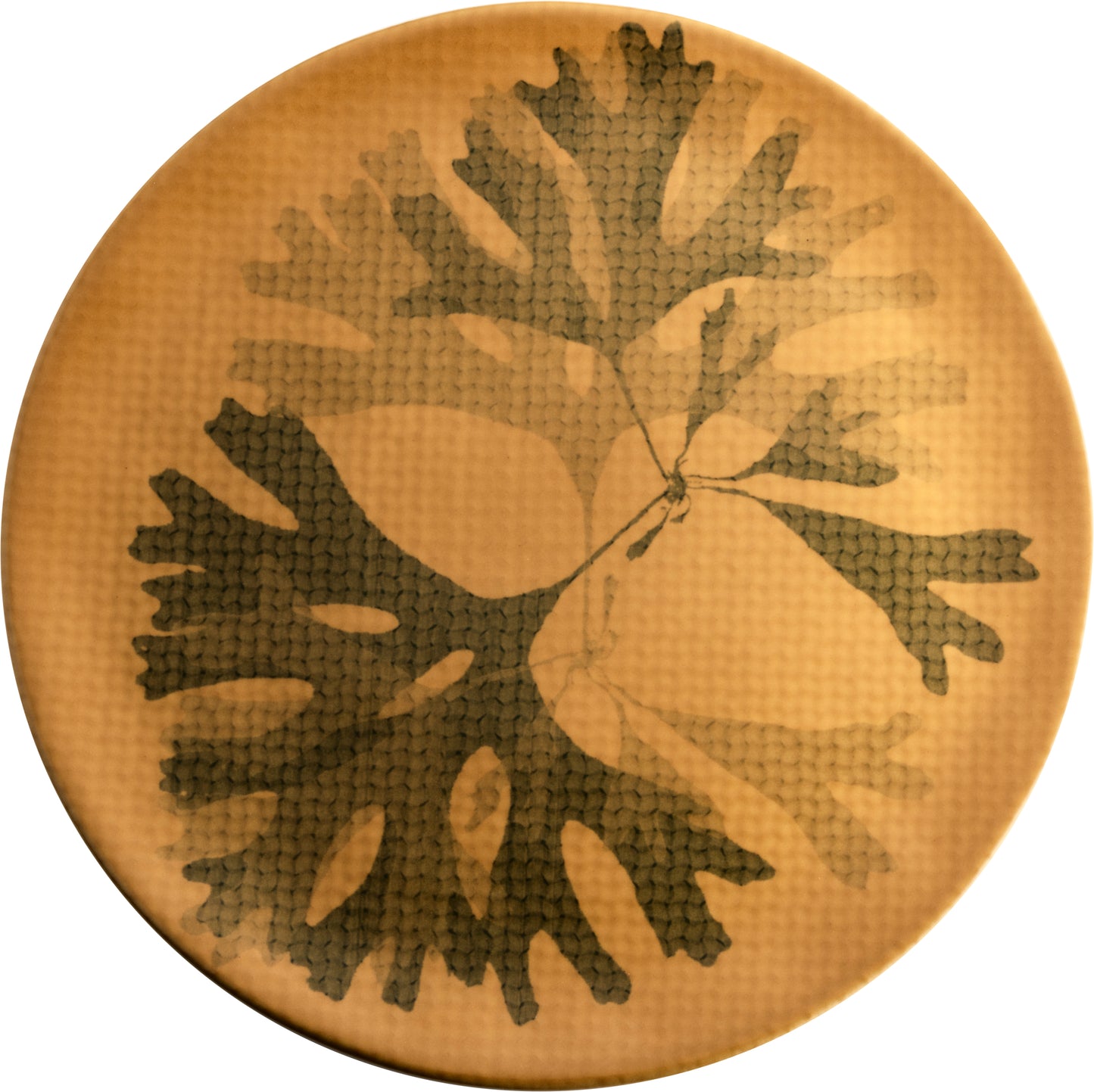 Fortessa Dinnerware CHEF'S PLATE Seaweed Teller 31cm senfgelb für die Gastronomie