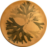 Fortessa Dinnerware CHEF'S PLATE Seaweed Teller fl.31cm mustard