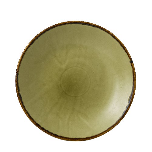 Dudson Harvest Green Teller Tief Coup 25,5cm für Gastronomie