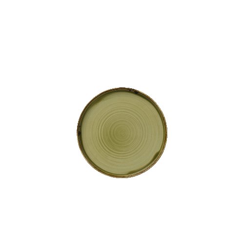 Dudson Harvest Green Teller Rund 21cm für professionelle Gastronomie