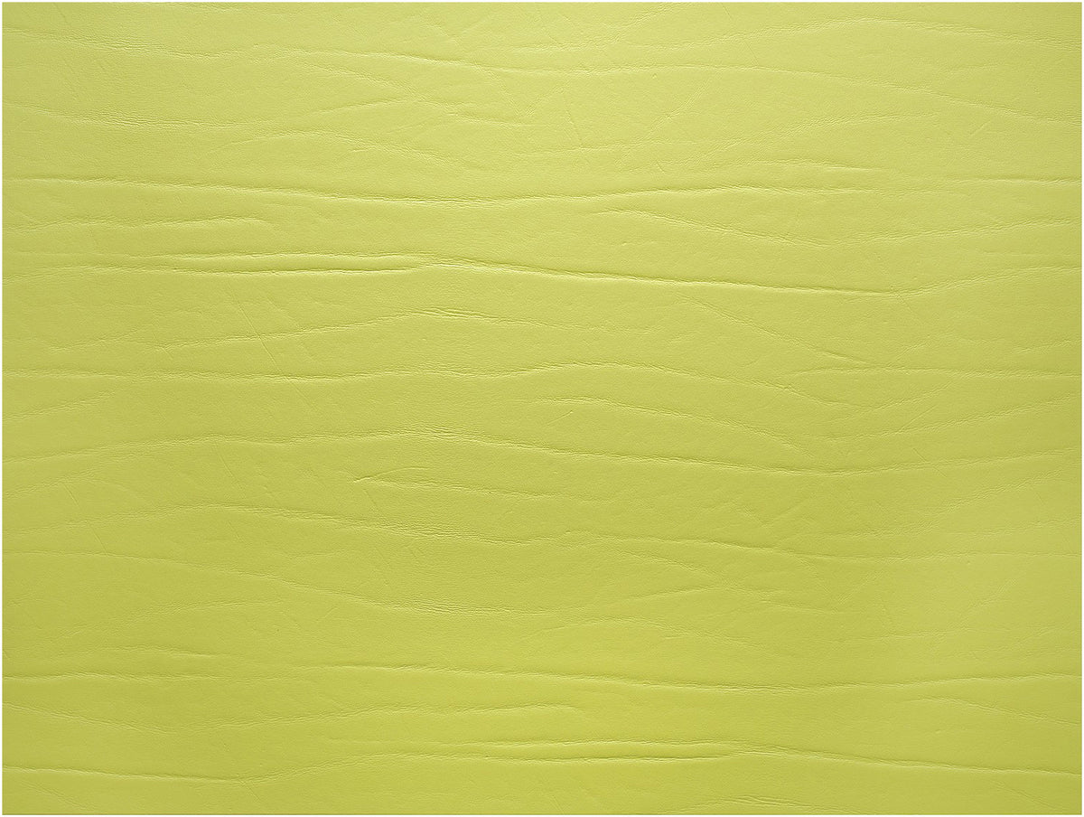 Fortessa DUMBO LIMETTE Tischset 31x42cm - Elegantes Tischset für Gastronomie