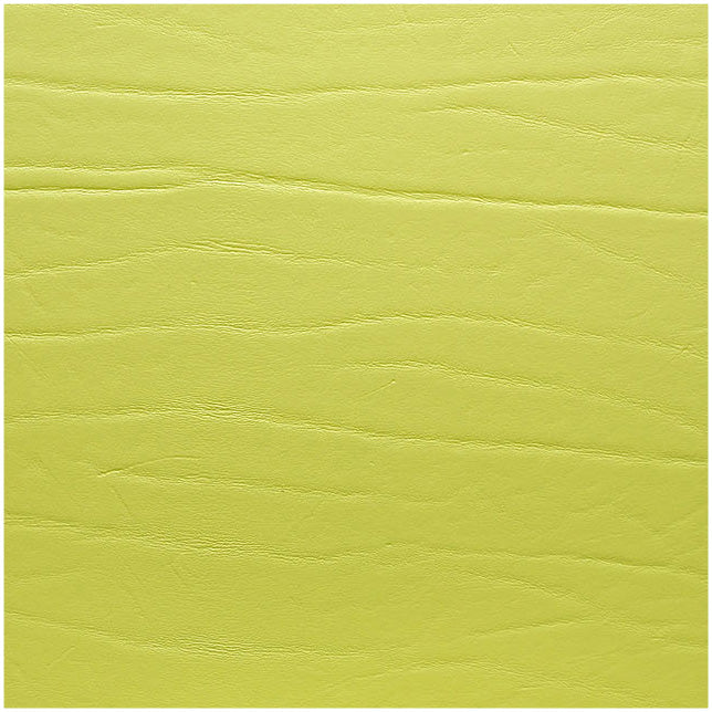 Fortessa Placemats DUMBO LIMETTE Untersetzer - 10x10cm für Gastronomie