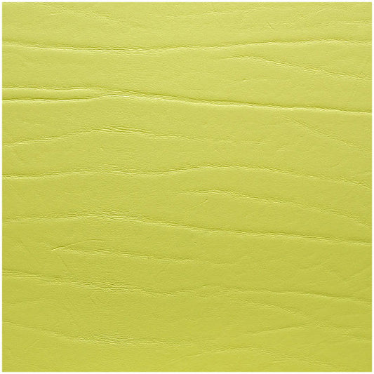 Fortessa Placemats DUMBO LIMETTE Untersetzer - 10x10cm für Gastronomie