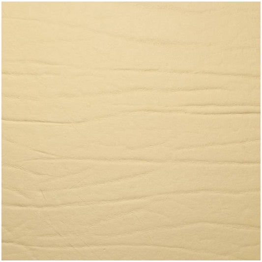 Fortessa Placemats DUMBO GOLD Untersetzer 10x10cm für Gastronomie