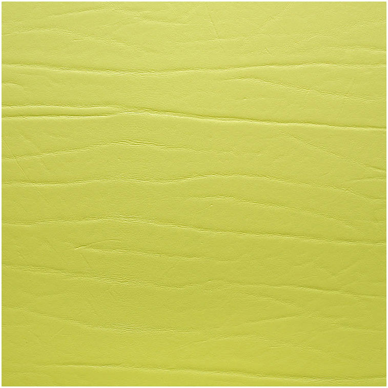 Fortessa Placemats DUMBO LIMETTE Untersetzer 20x20cm für Gastronomie