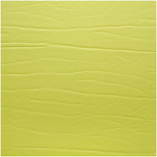 Fortessa Placemats DUMBO LIMETTE Untersetzer 20x20cm für Gastronomie
