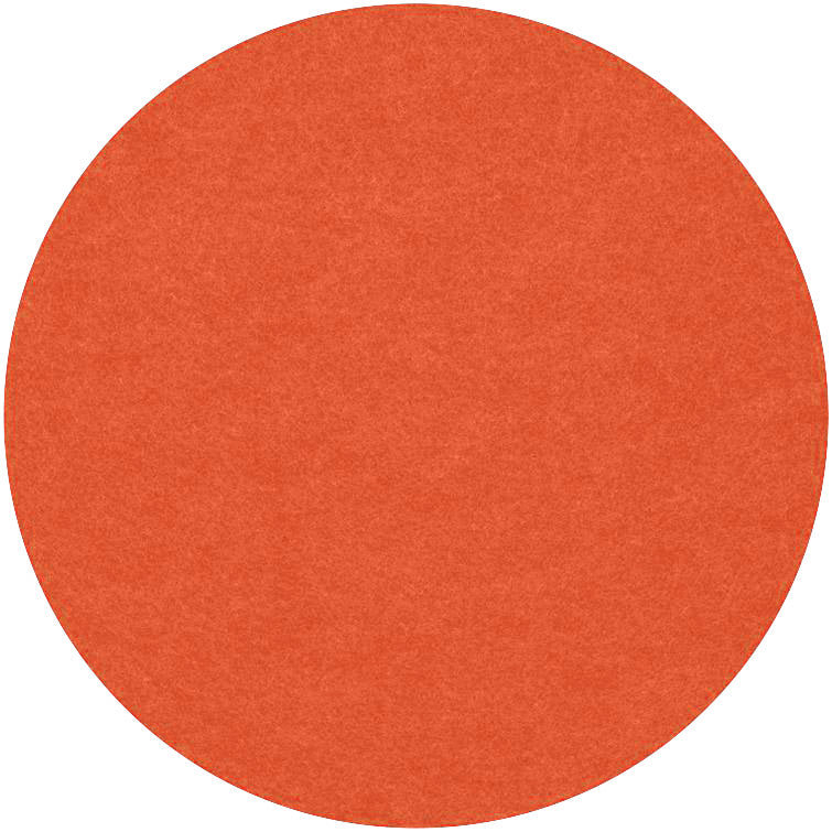 Fortessa FIBERIXX ORANGE Untersetzer Scheibe 10cm für Gastronomie