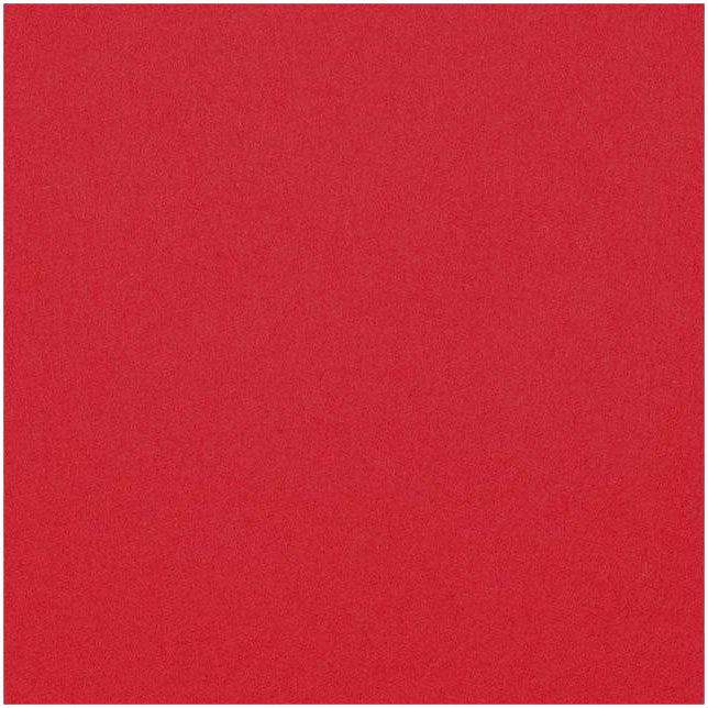 Fortessa Placemats WOLLFILZ KIRSCHE Untersetzer 10x10cm für Gastronomie