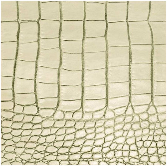 Fortessa GATOR ELFENBEIN Untersetzer 10x10cm für Gastronomie