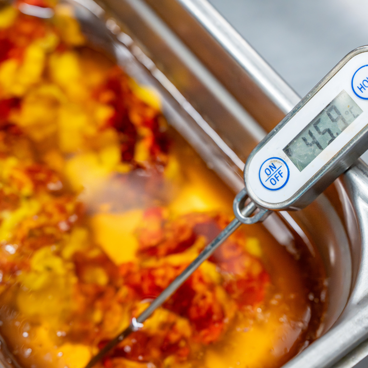 Gastro-Thermometer